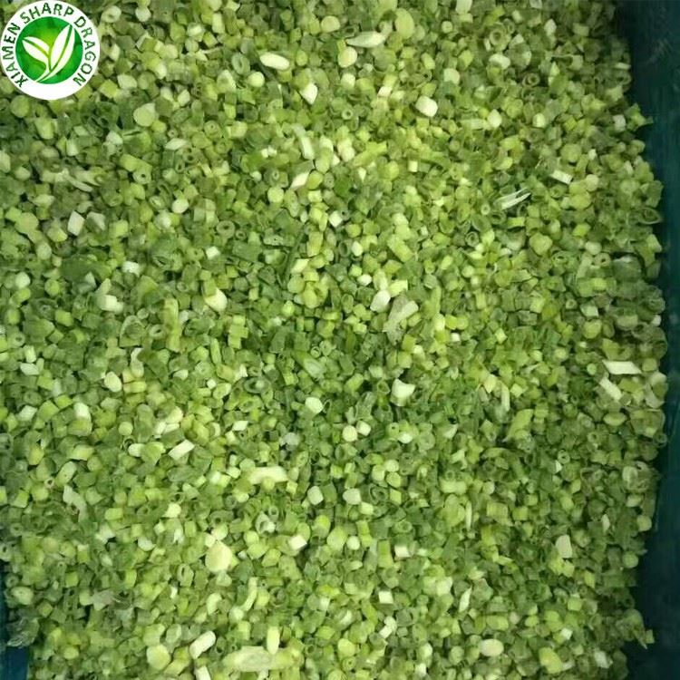 spring onion for wholesale spring onion for wholesale