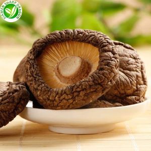 Sušené houby shiitake cena