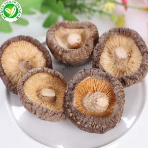 Cena sušených hub shiitake