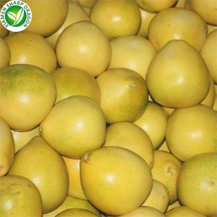 Tržní cena grapefruitu
